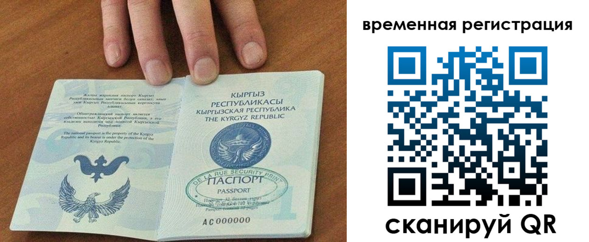 где прописаться в Ясногорске